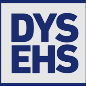 Logo de DYSEHS